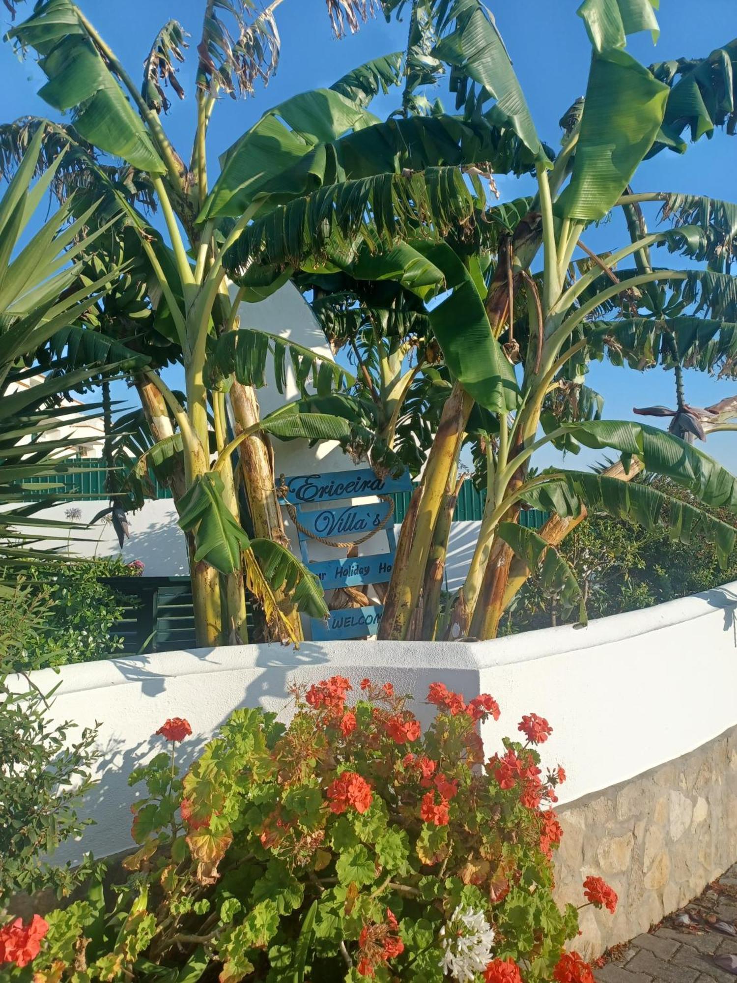 Ericeira Su Villa'S Exterior foto