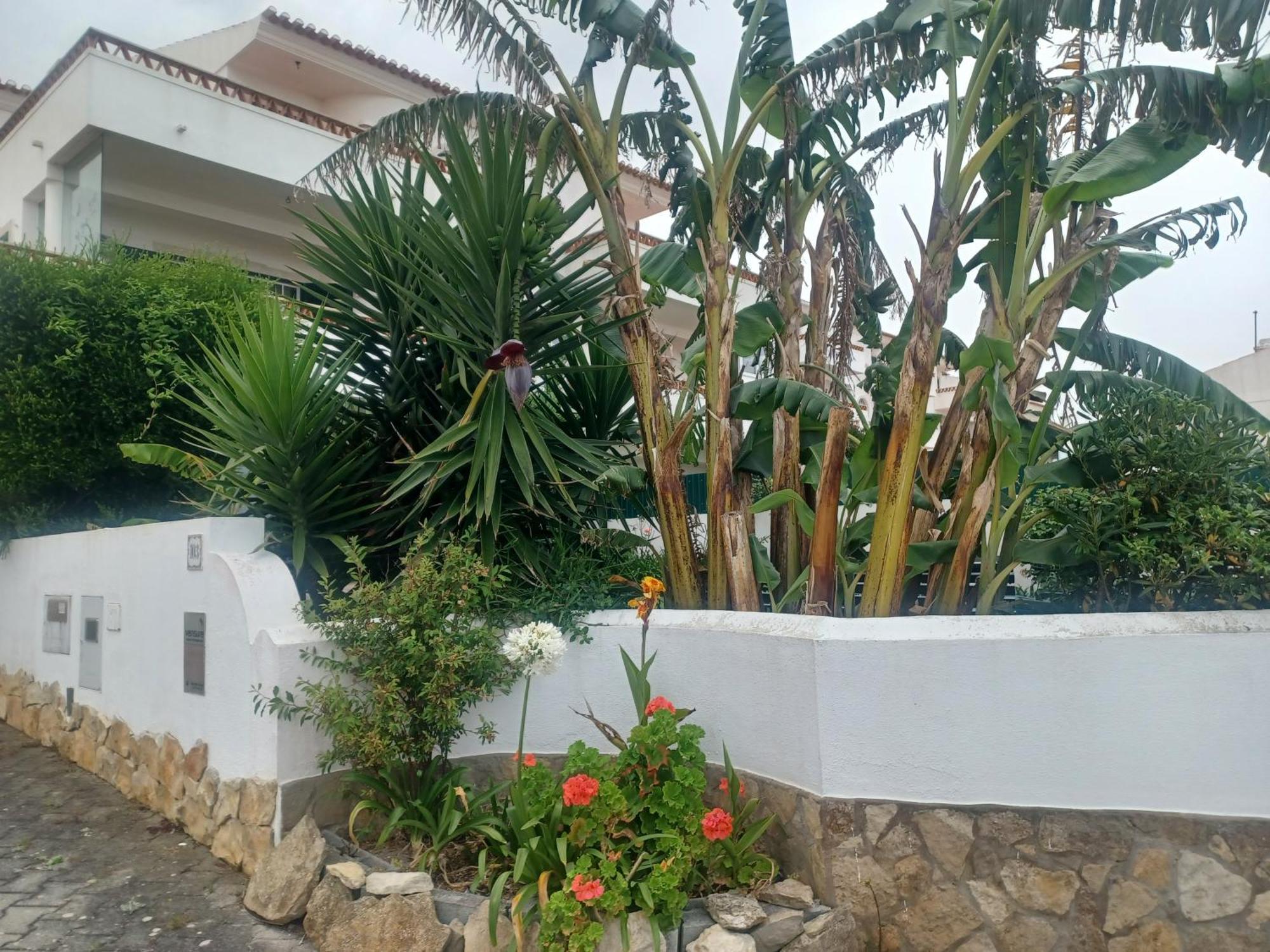 Ericeira Su Villa'S Exterior foto